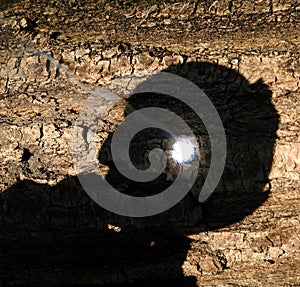 Magnifying glass starting fire