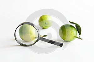 Magnifying glass and three fresh limes. Examination of the quality of citrus fruits. Checking and analyzing the ripeness of limes