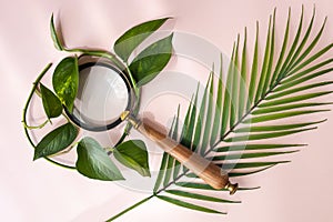 Magnifying glass on a tropical leaf, Creative, a journey into the unknown, searching for nature, arrangement of greenery, flat lay