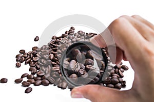 Magnifying roasted coffee beans, abstract concept of chosen the quality of coffee beans product