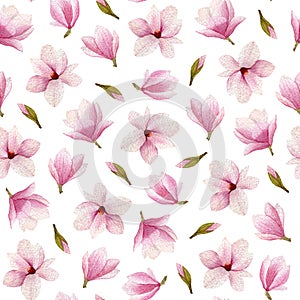 Magnolia blossoms watercolor seamless pattern. Hand drawn flower