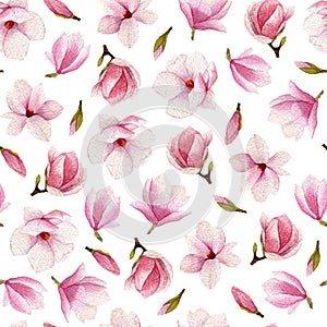 Magnolia blossoms watercolor seamless pattern. Hand drawn flower