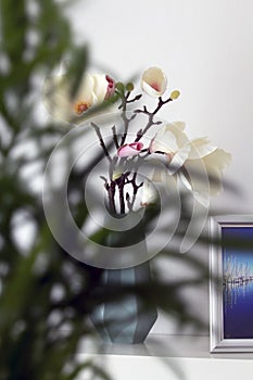 Magnolia in a decorative vase against a white background, in the blurred foreground branches of a shrub