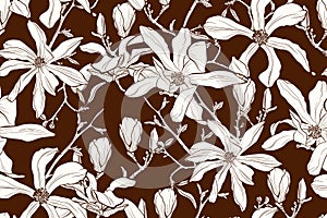 Magnolia flower brown sepia outline . Spring flowers. Seamless vector background.