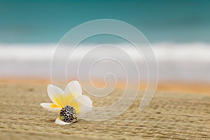 Magnolia flower with ring on seacoast