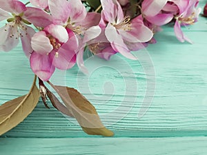 Magnolia flower on a wooden background blossom summer decorative