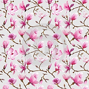 Magnolia Flowers Background