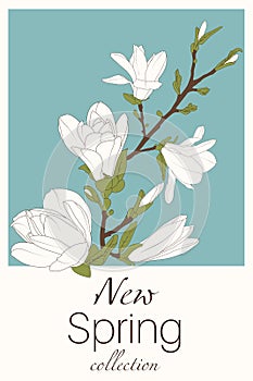 Magnolia flowers in blue background