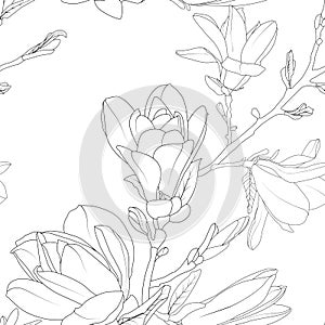 Magnolia flowers bouquet detailed floral sketch line pattern.