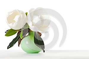 Magnolia Flowers Green Vase White Table