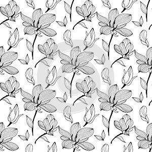 Magnolia Flowers Seamless Pattern. Black and white line illustration of magnolia flowers on white background.