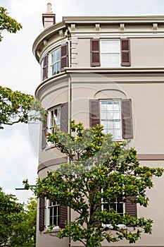 Magnolia by Old Brown Plaster Building