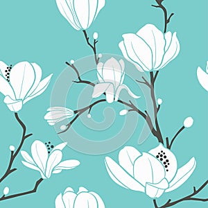 Magnolia pattern photo