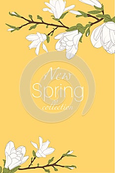 Magnolia tree branch flowers bloom blossom buds. Isolated design elements. Card banner flyer template text placeholder.