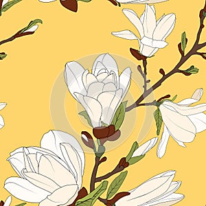 Magnolia tree branch flowers bloom blossom buds. Seamless botanical floral pattern. Bright yellow background.