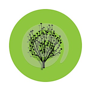 Magnolia tree in green badge icon