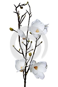 Magnolia white artificial flower