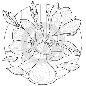 Magnolias in a vase.Coloring book antistress for children and adults. photo