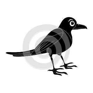 Magpie bird silhouette illustration set . Standing crow animal ornithology design. Vector shape isolated on white background photo