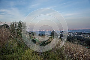 Maguey with bushes and city background photo