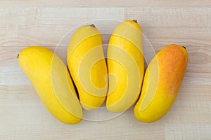 Maha chanok Rainbow mango, hybrid fruit between Sunset and local Thai mango