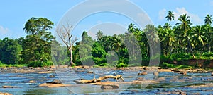 Maha Oya is a major stream in the Sabaragamuwa Province of Sri Lanka.
