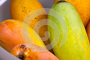 Mahachanok / Rainbow Mango fruit Thailand