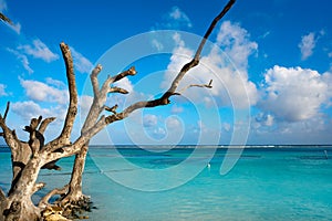 Mahahual Caribbean beach in Costa Maya