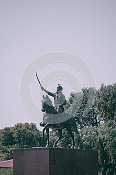 maharaja hari singh statue