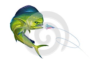 Mahi mahi or dolphin fish on white Bait Sea Octopus Skirt