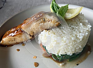 Mahi mahi with rice on white plate