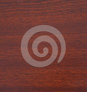 Mahogany, natural drawing of wood texture on a slice closeup