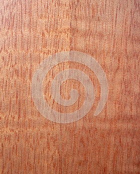 Mahogany wood surface as background, wood texture