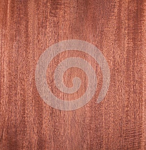 Mahogany, wood texture, old background