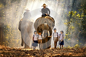 Mahout and student little asian in uniform are raising elephants on walkway in forest. Student little asian girl and boy singsong