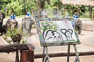 Mahout train elephant drawing a picture.