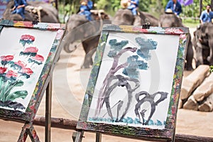 Mahout train elephant drawing a picture.