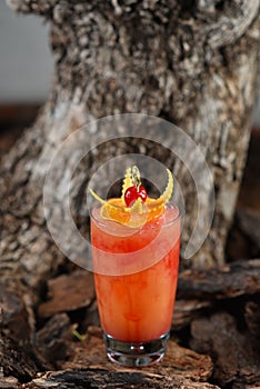 Mai Tai rum alcoholic cocktail