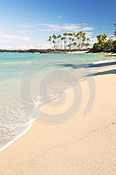 Maiahula Beach in Hawaii, USA with white sand and palm trees