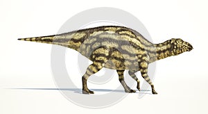 Maiasaura dinosaur, young child, photorealistic representation.