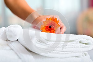 Maid doing room service in hotel photo