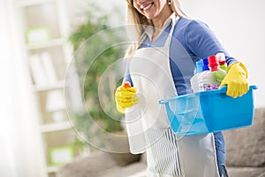 Maid hold house cleaning products