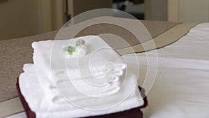 Maid tidying up in hotel suite and bringing few clean fresh towels for residents.