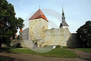 The Maidenâ€™s tower in Tallinn