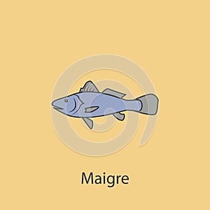 maigre 2 colored line icon. Simple purple and gray element illustration. maigre concept outline symbol design from fish set