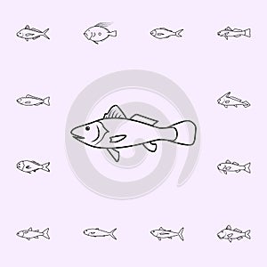 maigre icon. Fish icons universal set for web and mobile