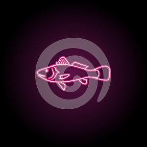 Maigre neon icon. Simple thin line, outline vector of fish icons for ui and ux, website or mobile application