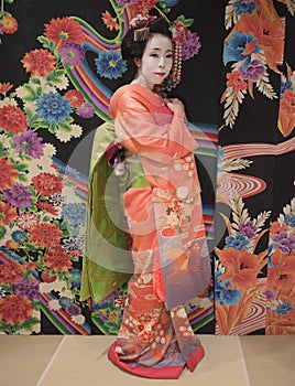 Maiko in kimono posing in front of a background with traditional