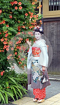 Maiko posing with flowers, Kyoto, Japan