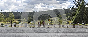 Mail Delivery Along the New England Highway